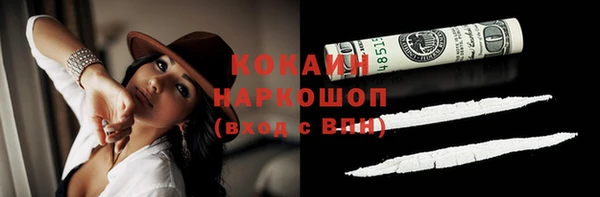 индика Нефтегорск