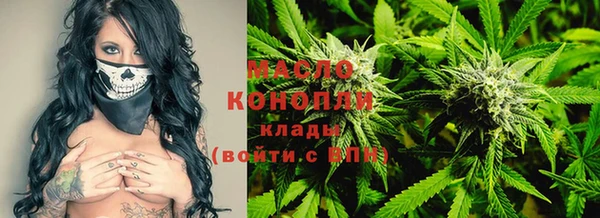 мет Елабуга