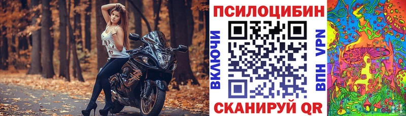 гидра   Пошехонье  Галлюциногенные грибы Psilocybe 